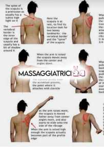 la regina dei massaggi. top benessere.