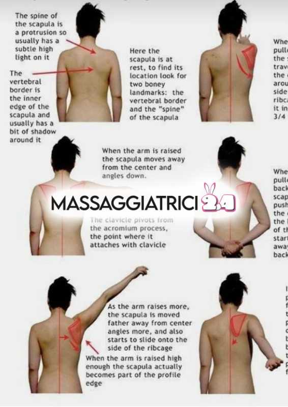 la regina dei massaggi. top benessere.